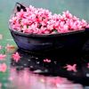 meryflower001