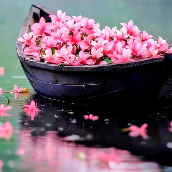 @meryflower001