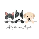 @adoptaunangelmascotaac