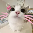 @vy92031