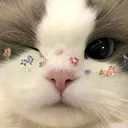 @sosfbfmtkngj