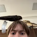@strijon0k