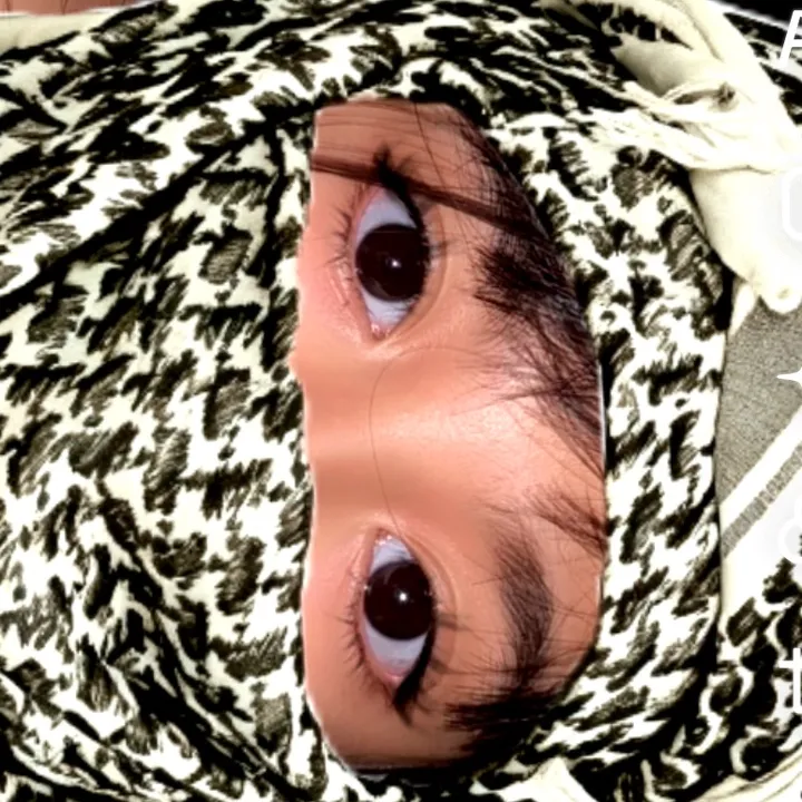 fionnarfin