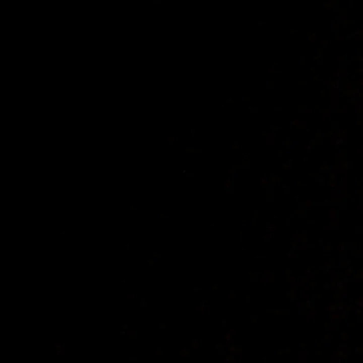 peedro_94_