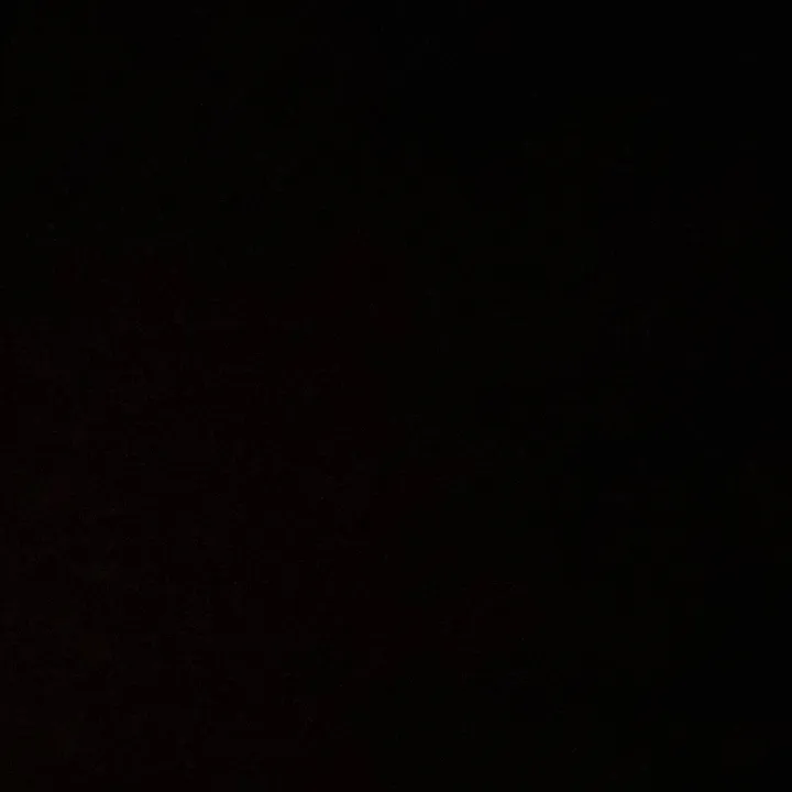 sofia.felix42