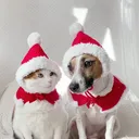 @miyopet