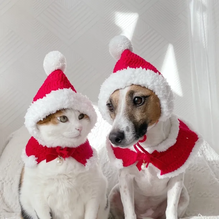 miyopet