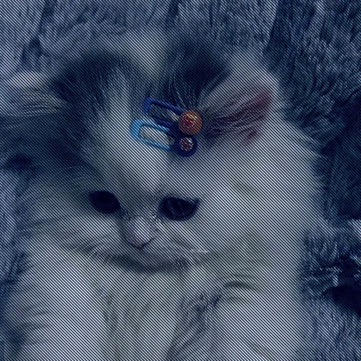 @kedicik_285