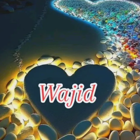 @wajid.ali.ali008