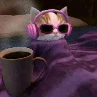 tiktokterrapessoa
