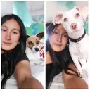 @rociosuarez0392