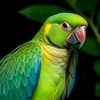 mariana.islands1
