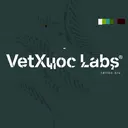 @vetxuocstudio