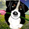 alegha_com.42