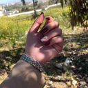 @ur_amiram