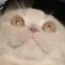 @matvey4ik0_0