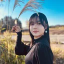@noapino_tt