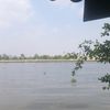 mypinkab
