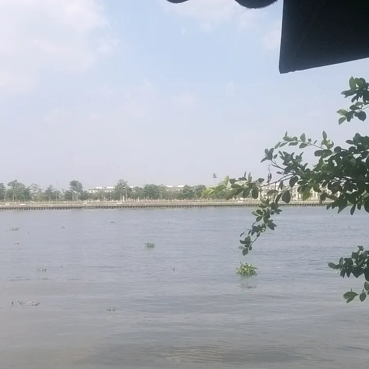mypinkab