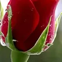 @anil.gupta329