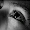 dhivi_t
