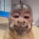 @linglings.spamm