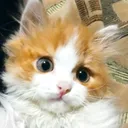 @moi_zveri555