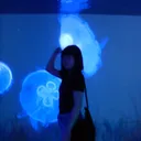 @momonga78.8