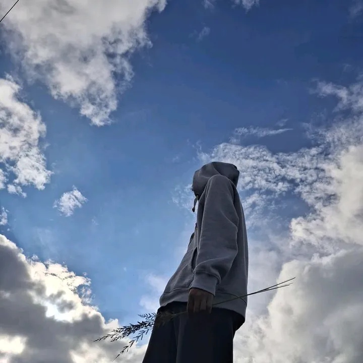 bloxfruitlog
