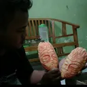 @thochip_09