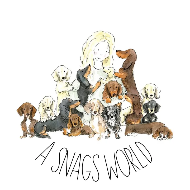 asnagsworld
