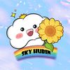 skyhubin