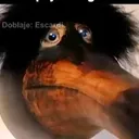 @alberrm
