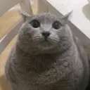 @fractalsalike