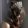 royal_sveta
