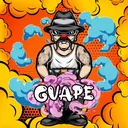 @gvape13
