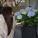 @hotgirlgarden