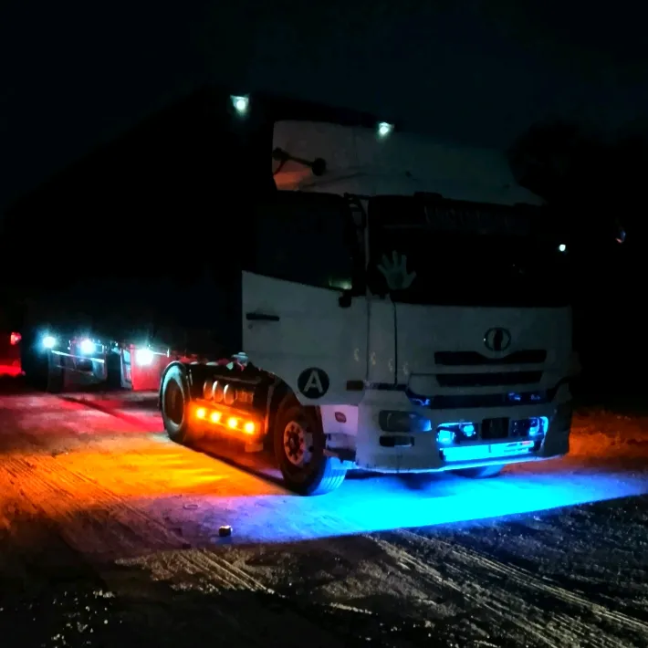 pavi_7577
