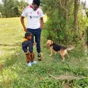 @benmuigai