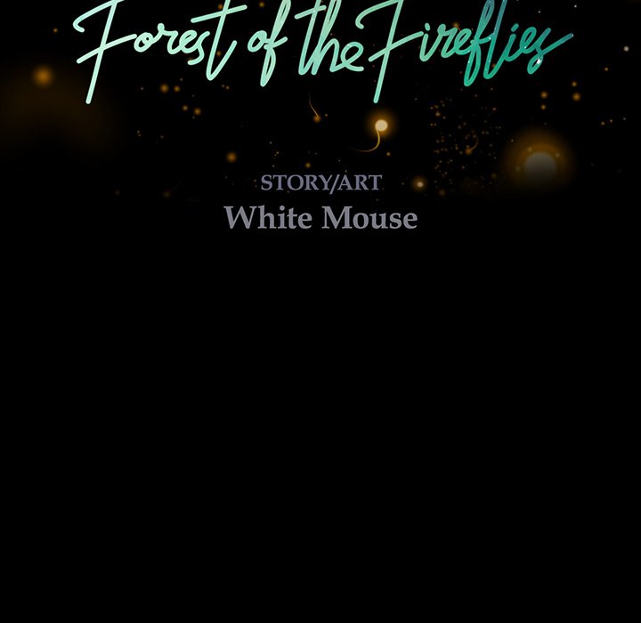 Forest of the Fireflies - episode 26 - 28
