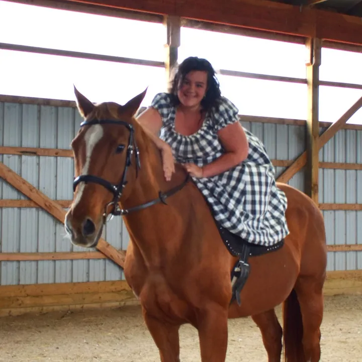 auntietannasfunnyfarm
