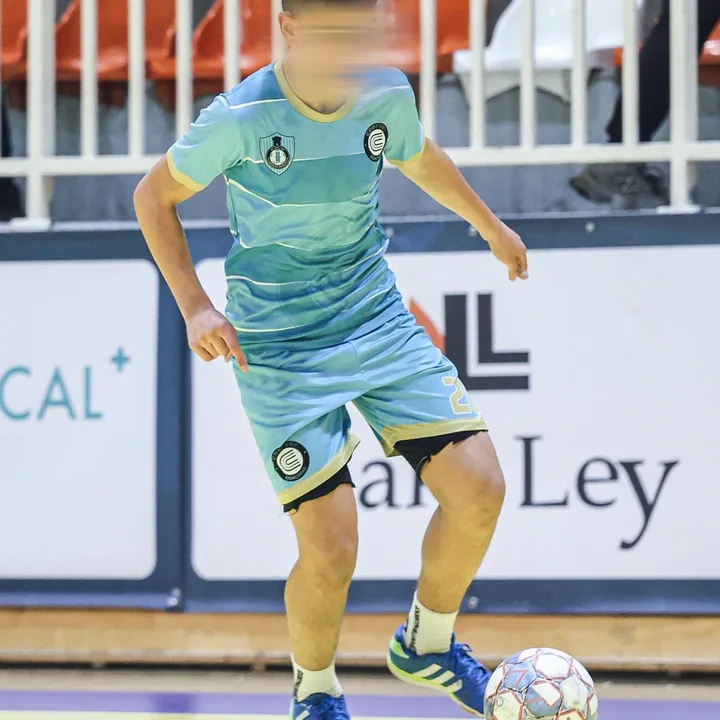 demir.sejdovic
