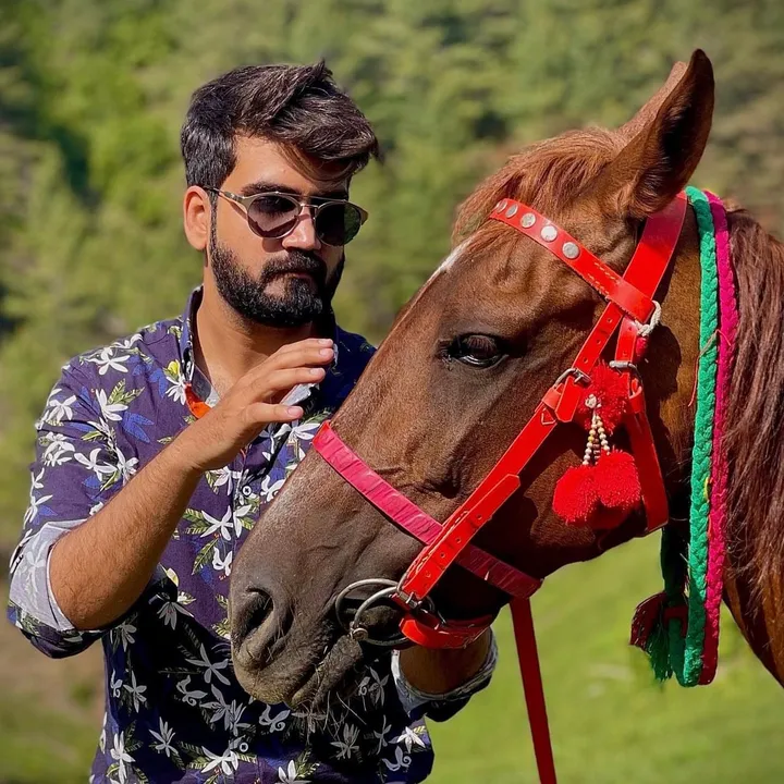 vibe_with_sheikhspear
