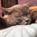 @quockhanh02.09