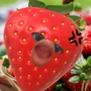 @shakila4a_44