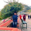 @jitendarsingh7116