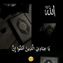 @sifuu319