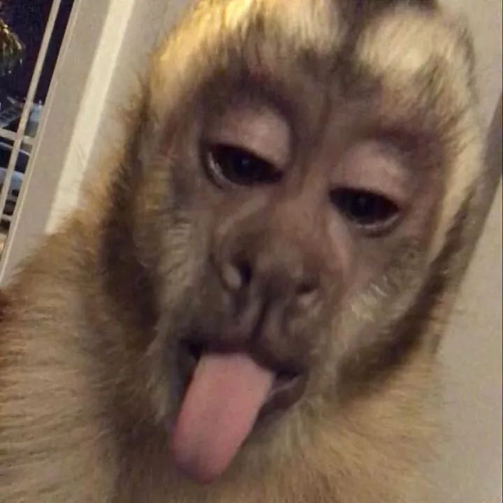 rknwz7