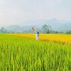 duyen_duoc