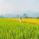 @duyen_duoc